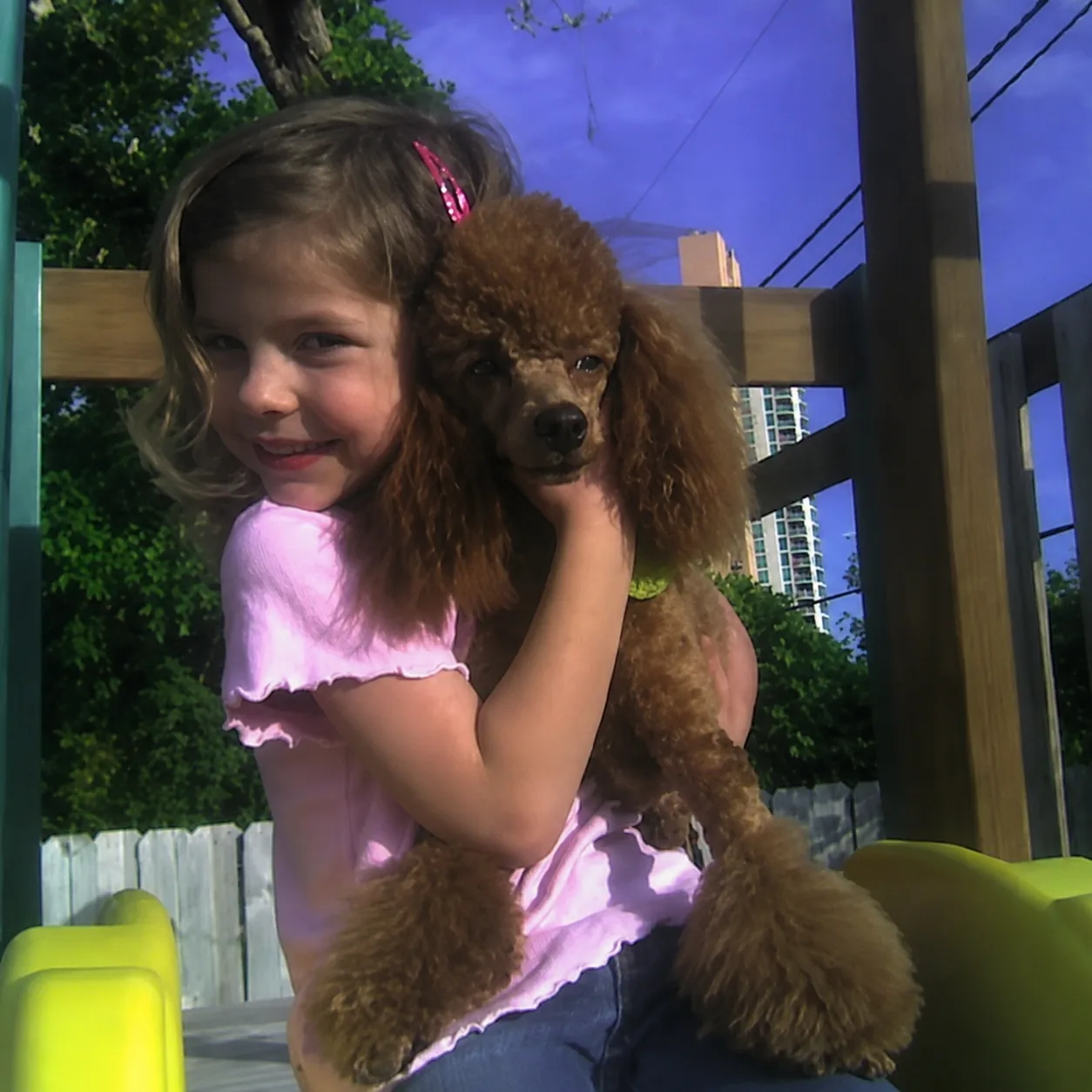 Young girl hugging a red poodle outdoors