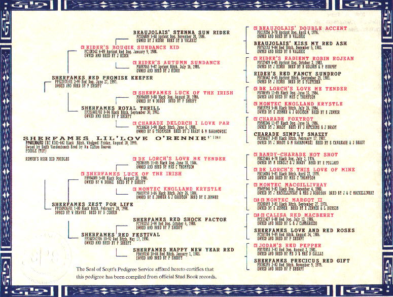 Four-generation pedigree document sample